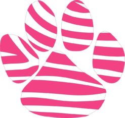 5in x 4.5in Pink White Paw Print Bumper Sticker Decal Car Window Stickers Decals