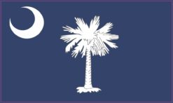 5in x 3in South Carolina State Flag Bumper Sticker Decal Window