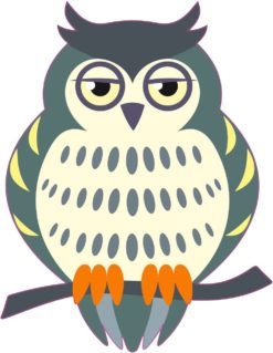 5in x3.5in Off White And Green Owl Owls Window Sticker Decal Stickers Decals