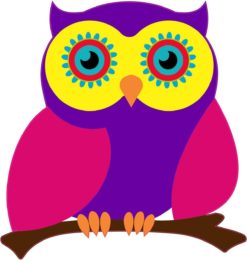 5in x 5in Yellow Pink And Purple Owl Bumper Sticker Decal Stickers Owls Window Decals