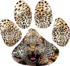 4.5in x 5in Leopard Animal Paw Print Window Sticker Decal Sticke