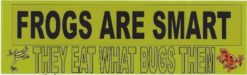 10 inx 3in Frogs Are Smart Bumper Sticker Frog Car Window Stickers Decal Decals