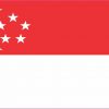 Singapore Flag