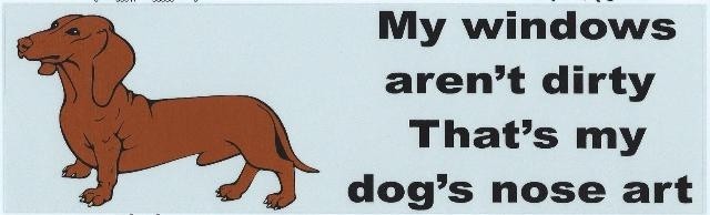 10in x 3in windows arent dirty dog nose art magnet bumper magnets
