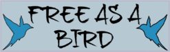 10in x 3in Free as a Bird magnet bumper  Vinyl Car magnets magne