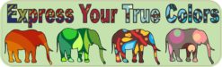 10in x 3in Express True Colors Bumper Sticker Elephant Decal Window Stickers Decals