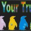 10in x 3in Express True Colors Bumper magnet Penguin  magnetic m