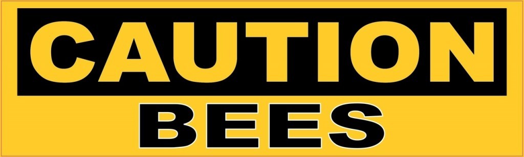 bees