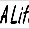 10in x 3in Save a Life No Texting Phone Vinyl Bumper magnet  mag