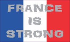 5in x 3in France Is Strong French Flag Vinyl Vehicle Magnet Magnetic Sign Car Magnets