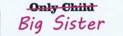 10in x 3in Only Child Big Sister Vinyl Bumper magnet  magnetic m
