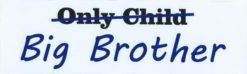 10in x 3in Only Child Big Brother Vinyl Bumper magnet  magnets C
