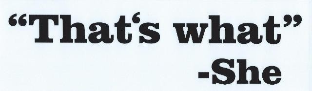 10in x 3in That's What She Said Car Bumper Stickers Decals Windo