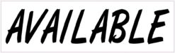 10in x 3in Available Funny Vinyl Bumper magnet  Car magnetic magnets