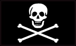 5in x 3in Jolly Roger Pirate Flag Bones Bumper magnet  magnets