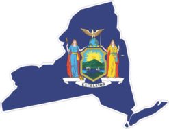 New York State Flag Sticker