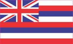 5in x 3in Hawaii Hawaiian State Flag Bumper Sticker Decal Window