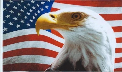 Eagle American Flag Sticker