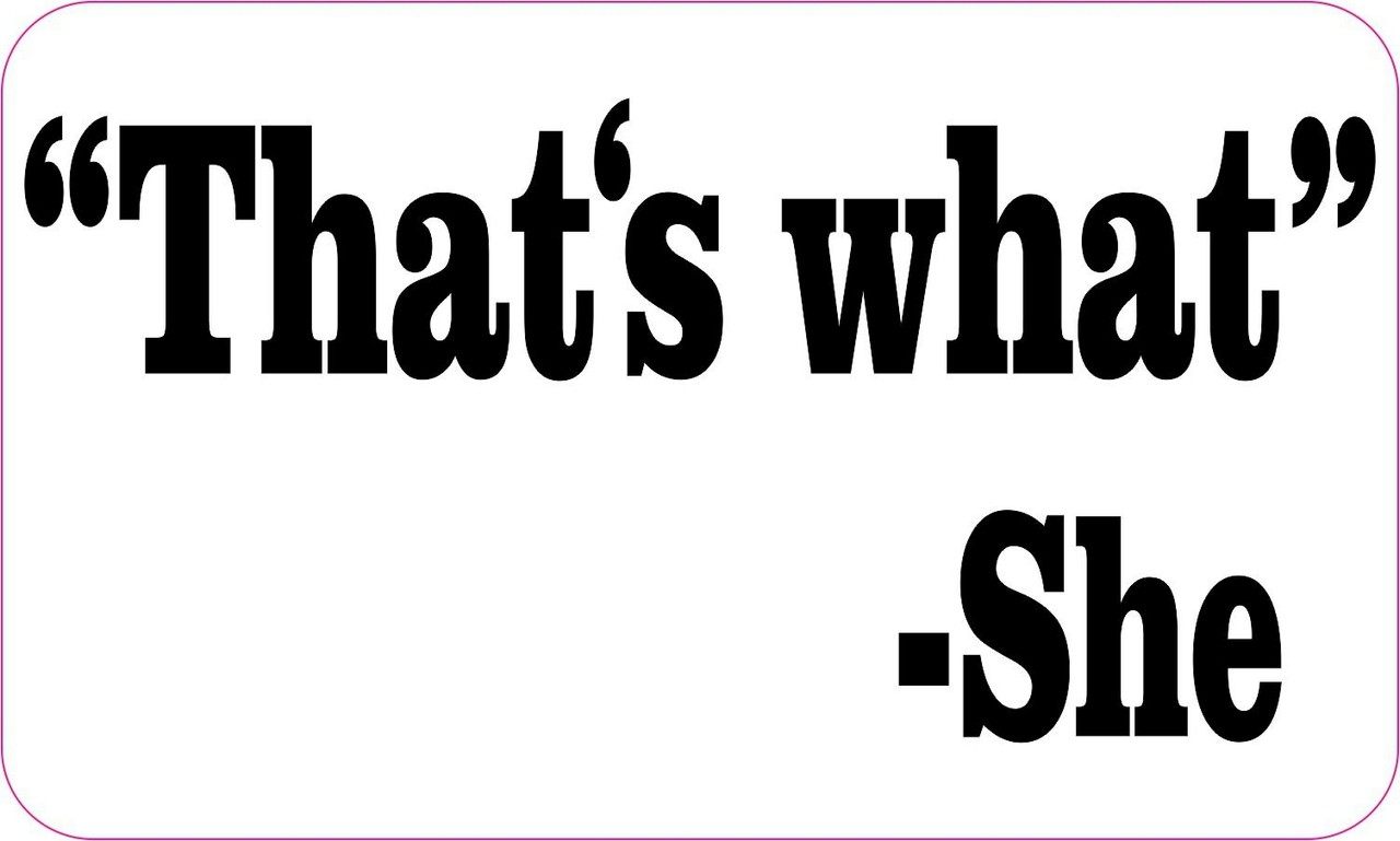 5in x 3in Thats What She Said Bumper Stickers Decals Vinyl Car Window Sticker Decal