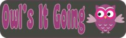 10in x 3in Owls it Going Bumper magnet Owl  Car Owl magnetic magnets