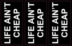 3x 3.5inx1in Life Aint Cheap Vinyl Bumper Sticker Decal Window Stickers Decals