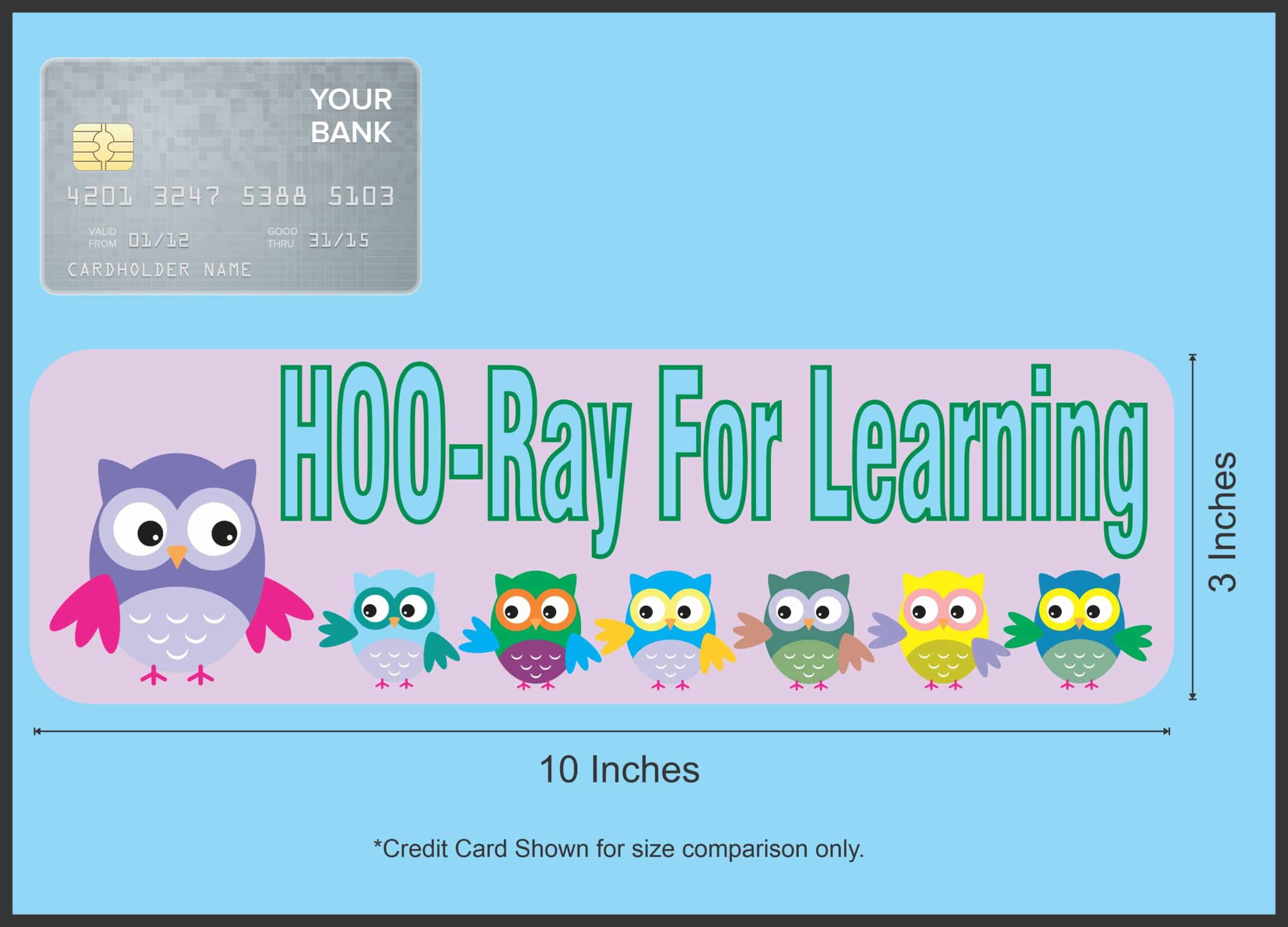 10in x 3in Hoo Ray For Learning Owls Bumper Sticker Decal Car Owl Window Stickers Decals