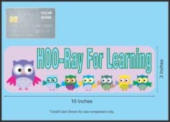 10in x 3in Hoo-Ray For Learning Owls Bumper Magnet