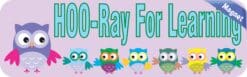 10in x 3in Hoo-Ray For Learning Owls Bumper Magnet