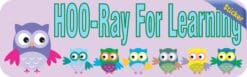 10in x 3in Hoo Ray For Learning Owls Bumper Sticker Decal Car Owl Window Stickers Decals