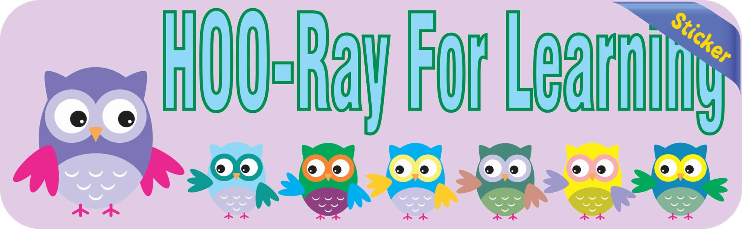 10in x 3in Hoo Ray For Learning Owls Bumper Sticker Decal Car Owl Window Stickers Decals