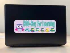 10in x 3in Hoo Ray For Learning Owls Bumper Sticker Decal Car Owl Window Stickers Decals