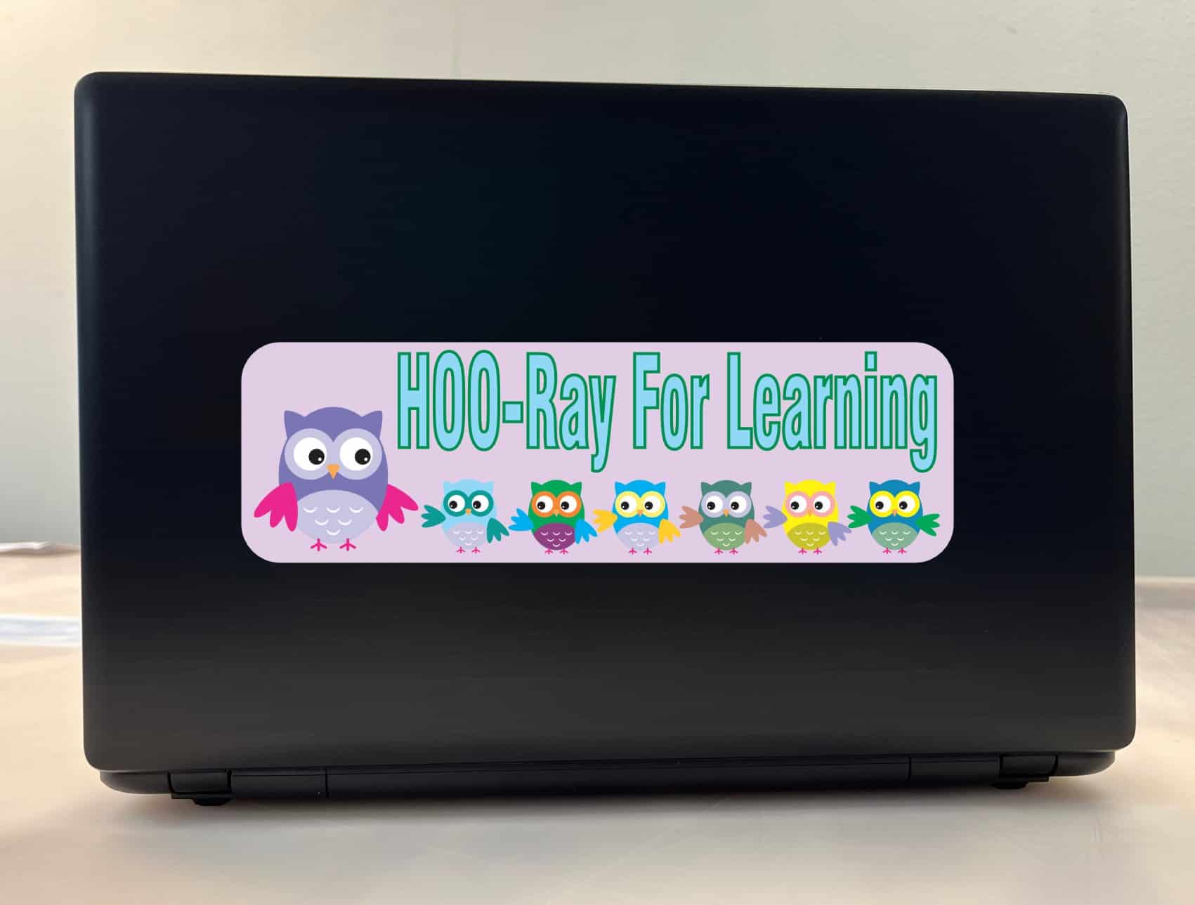 10in x 3in Hoo Ray For Learning Owls Bumper Sticker Decal Car Owl Window Stickers Decals