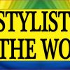 Hair Stylists Color The World Bumper Sticker