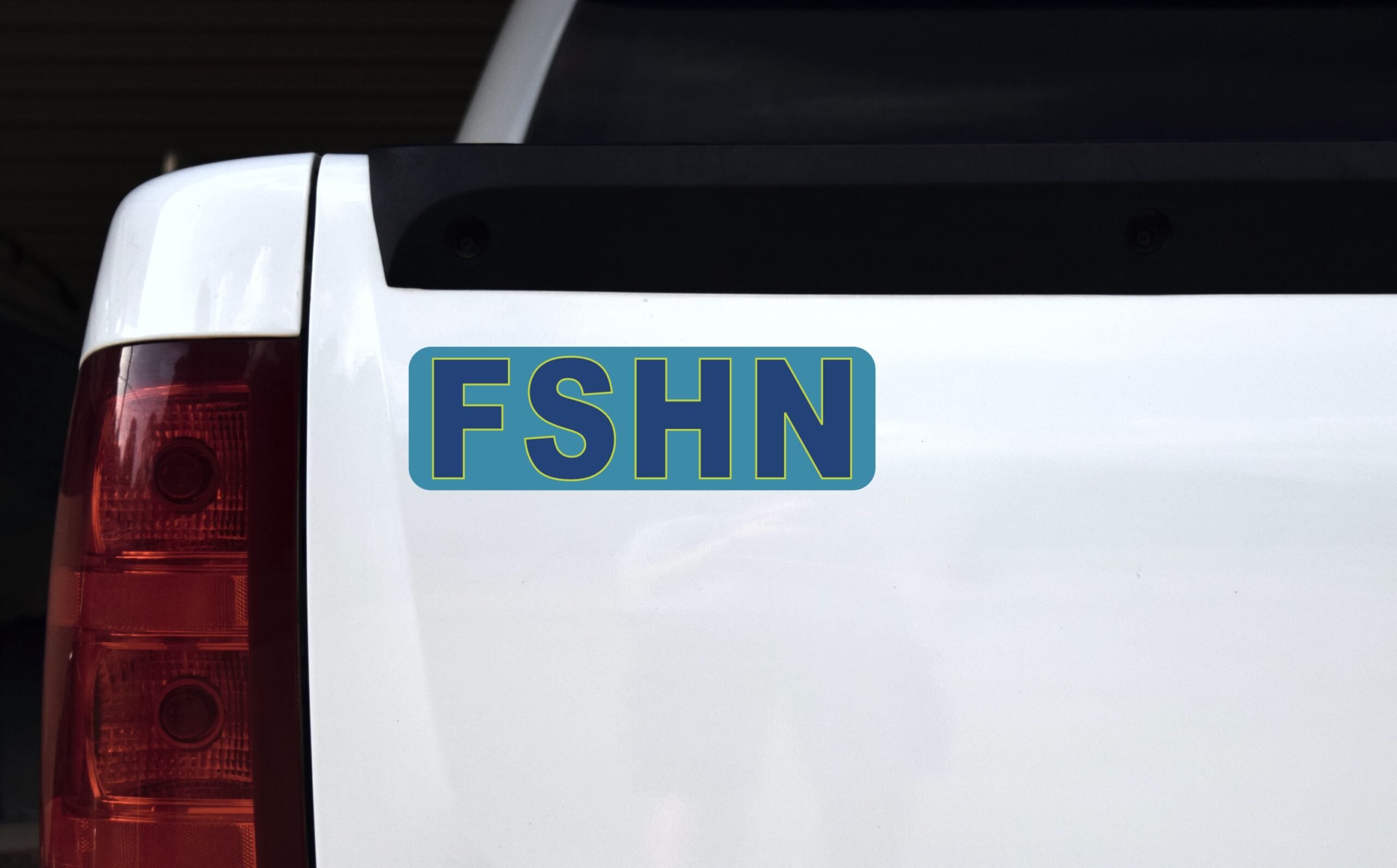 10in x 3in FSHN Fishing Vinyl Bumper Sticker Decal Car Window Decals Truck Stickers