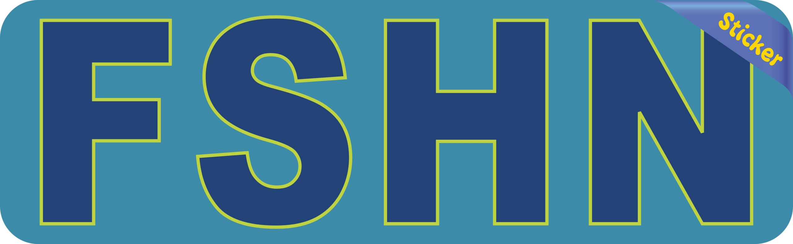 10in x 3in FSHN Fishing Vinyl Bumper Sticker Decal Car Window Decals Truck Stickers