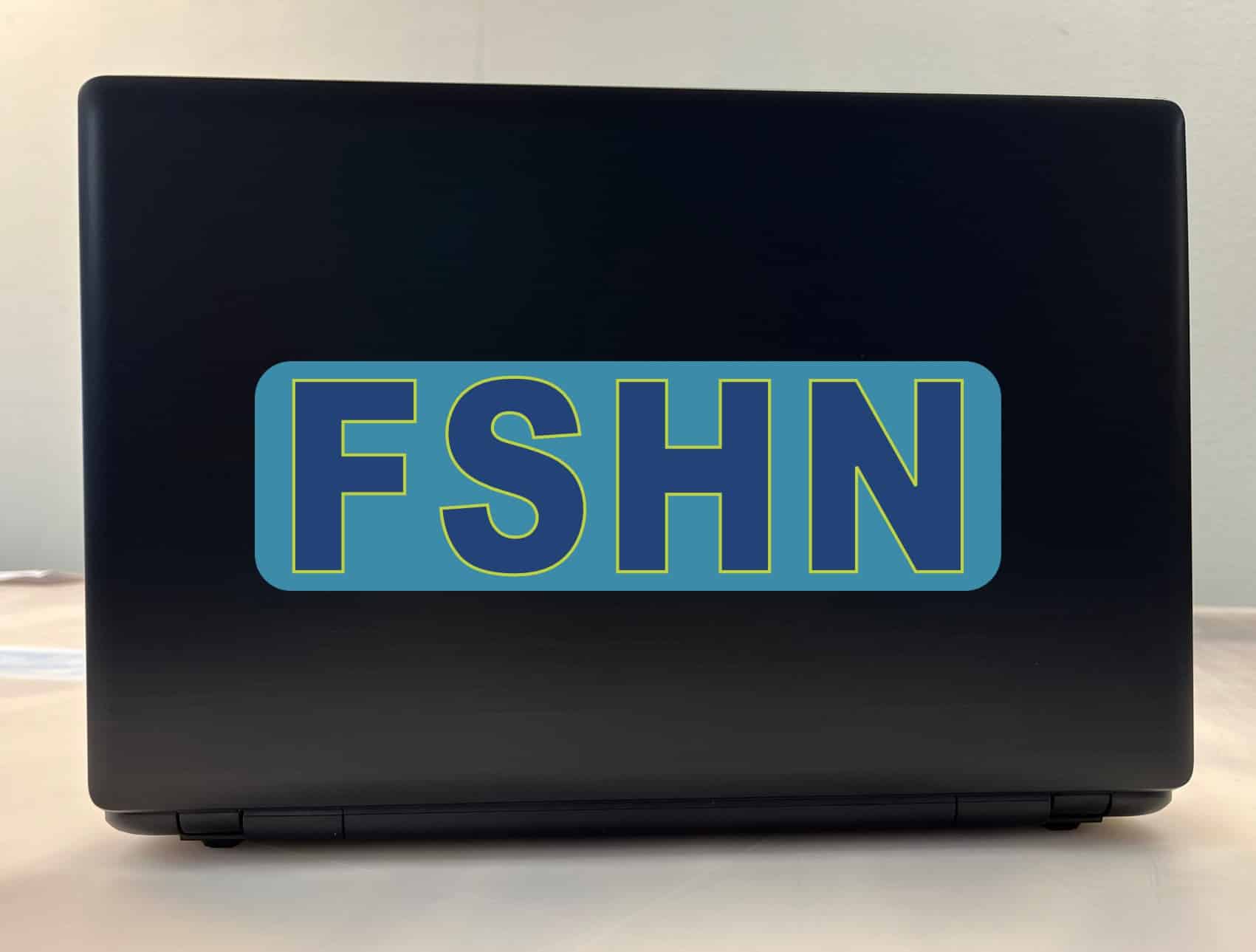 10in x 3in FSHN Fishing Vinyl Bumper Sticker Decal Car Window Decals Truck Stickers
