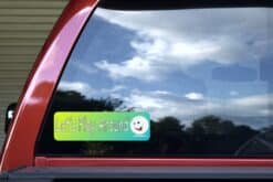 10in x 3in Lets Play Around Bumper Stickers window decals decal sticker golf balls