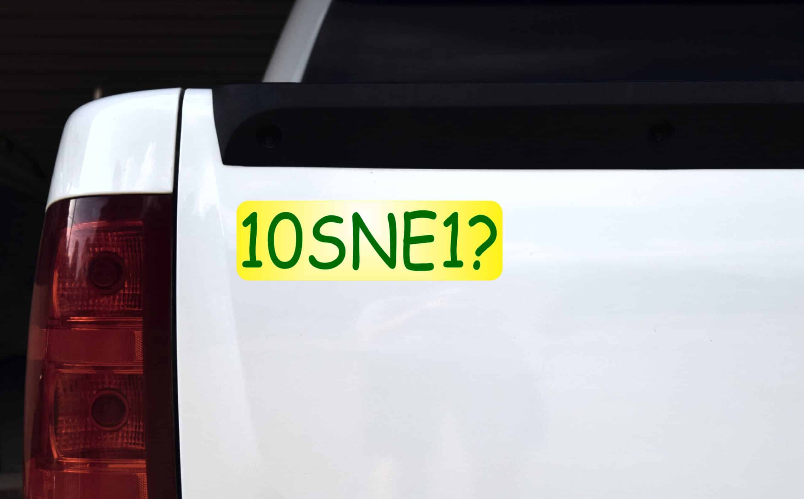 10in x 3in 10SNE1 Tennis Anyone Vinyl Bumper magnet magnetic magnets
