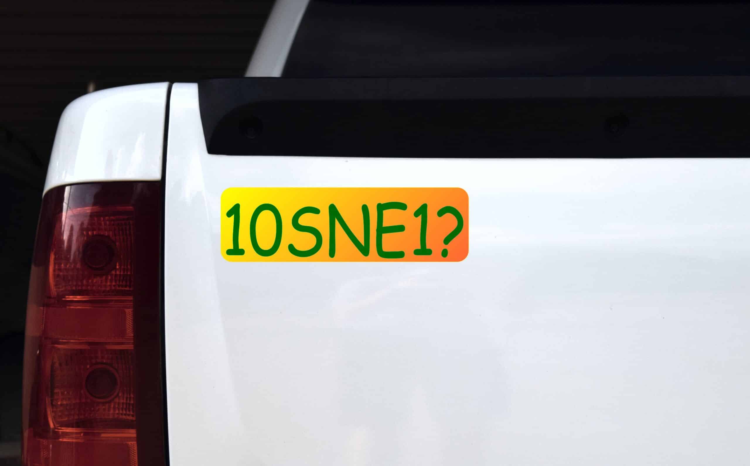 10in x 3in 10SNE1 Tennis Anyone Vinyl Bumper magnet magnetic magnets