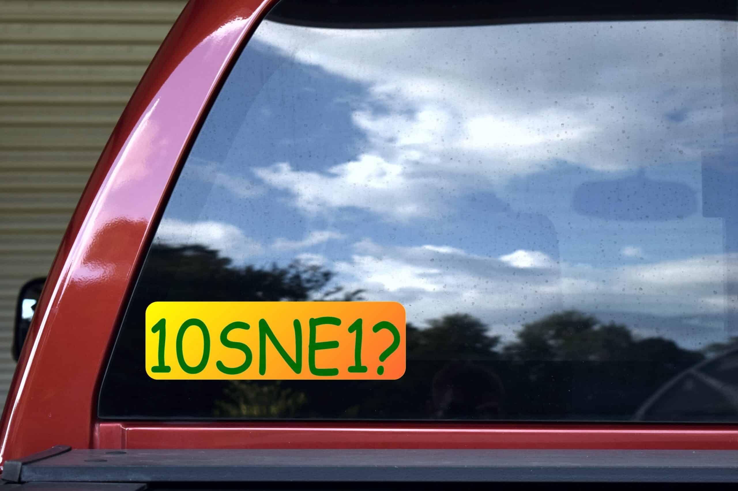 10in x 3in 10SNE1 Tennis Anyone Vinyl Bumper Sticker Window Decal Stickers Decals