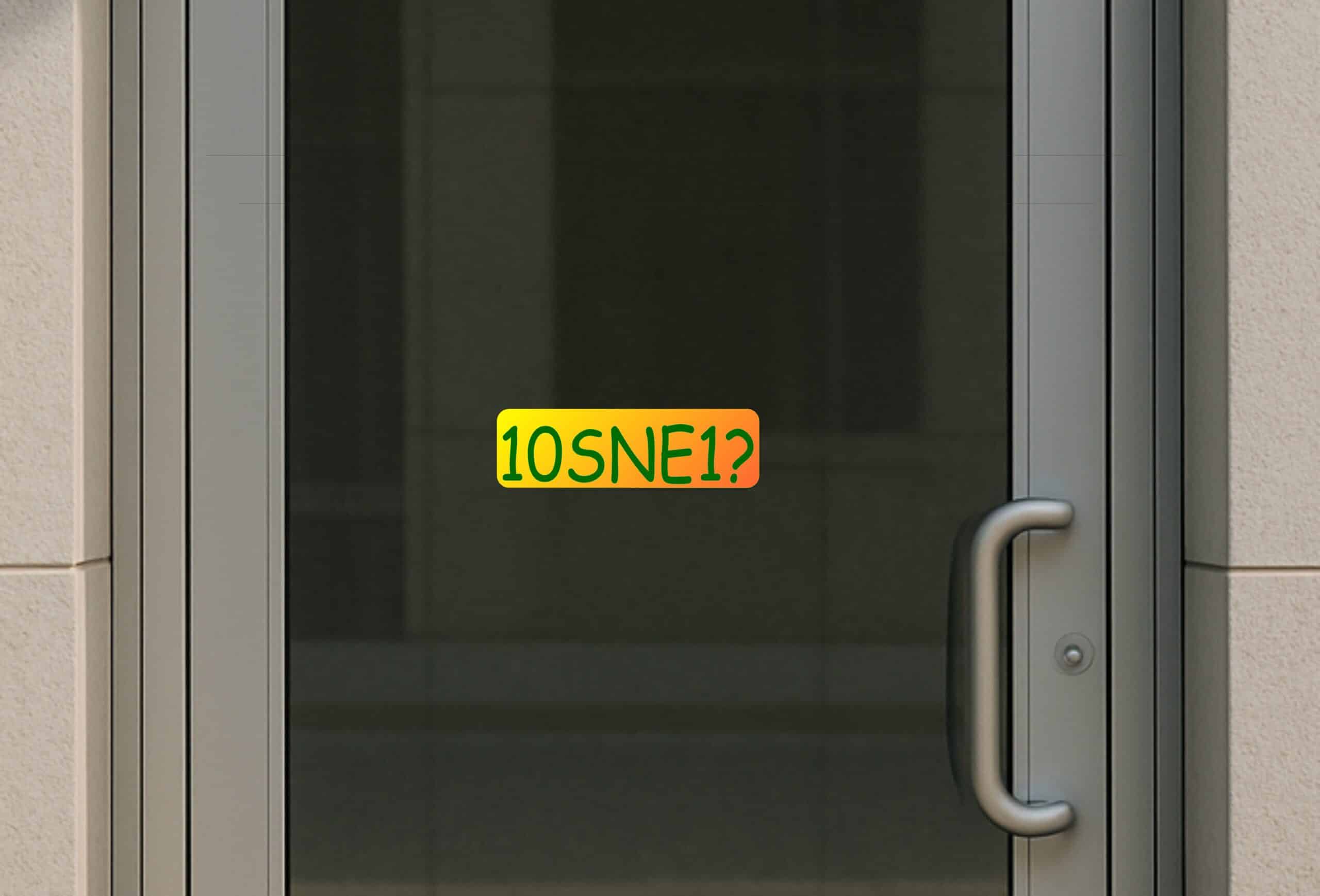 10in x 3in 10SNE1 Tennis Anyone Vinyl Bumper Sticker Window Decal Stickers Decals