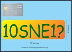 10in x 3in 10SNE1 Tennis Anyone Vinyl Bumper magnet magnetic magnets