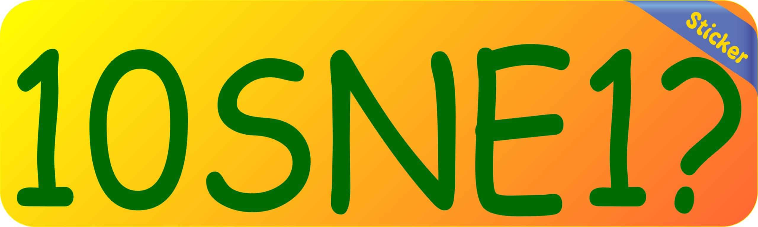 10in x 3in 10SNE1 Tennis Anyone Vinyl Bumper Sticker Window Decal Stickers Decals