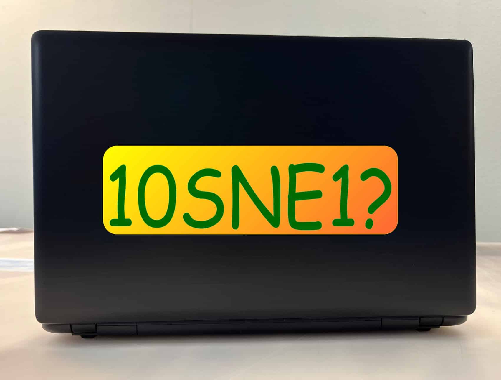 10in x 3in 10SNE1 Tennis Anyone Vinyl Bumper Sticker Window Decal Stickers Decals