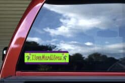 10in x 3in I Love Mardi Gras Vinyl Bumper Sticker Decal Car Window Stickers Decals
