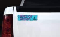 10in x 3in Vinyl Vehicle Magnet Magnetic Sign Car Magnets