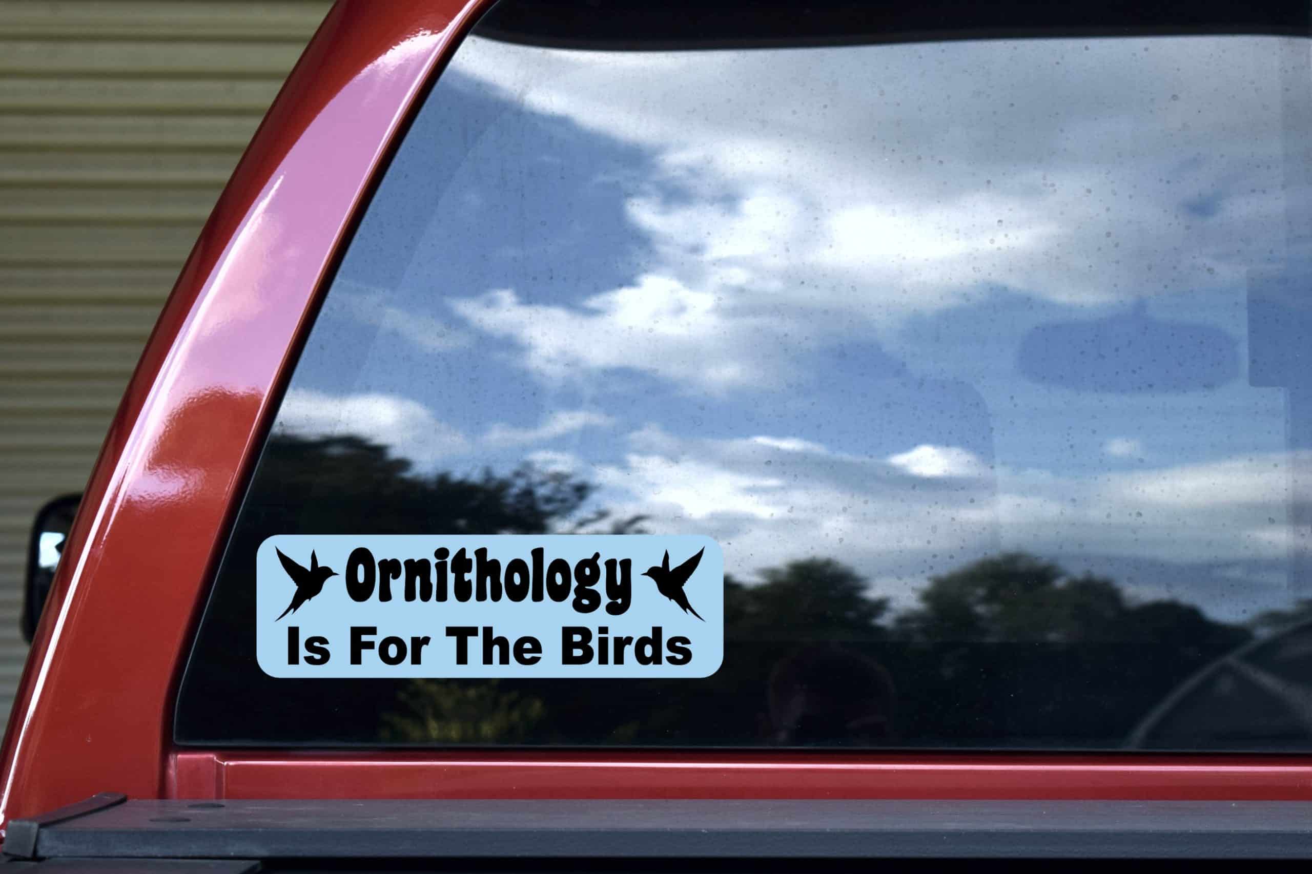 10in x 3in Ornithology Is for the Birds Vinyl Sticker - Image 5
