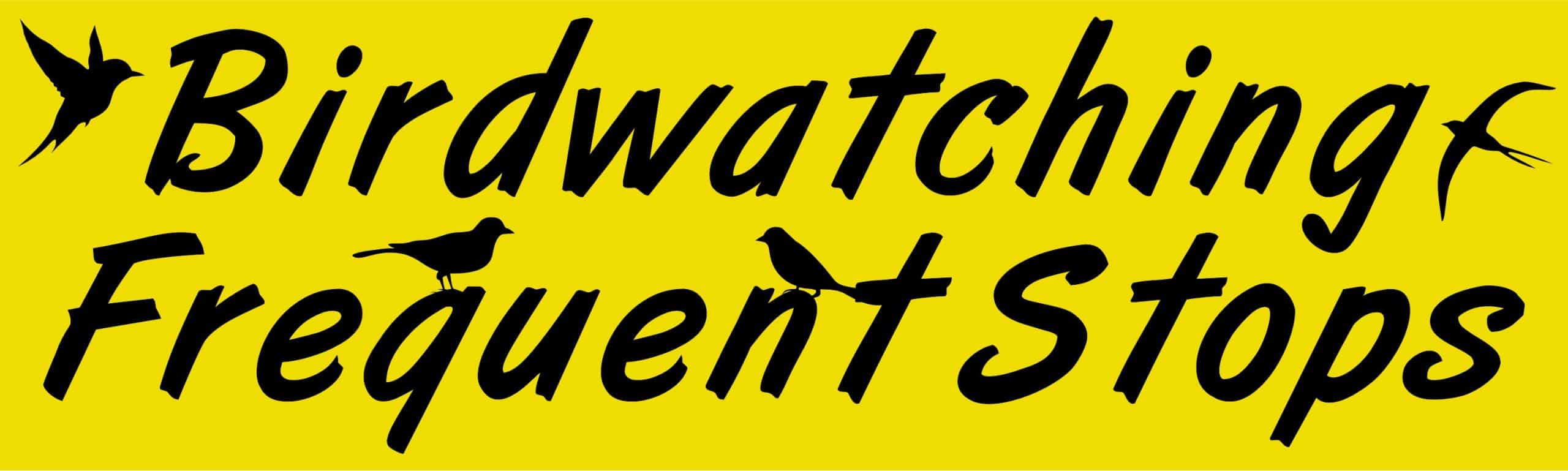 10in x 3in Birdwatching Frequent Stops Car Bumper Sticker Window