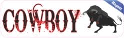 10in x 3in Cowboy Bull Rider Bumper magnet magnetic  Vinyl magnets