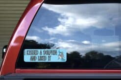 10in x 3in I Kissed a Dolphin and Liked It Animals Bumper Sticker Vinyl Window Decal